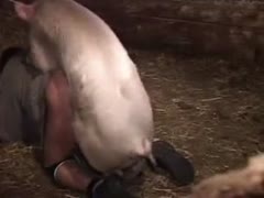 Brunette MILF exposes herself and earns a face full of spunk from a goat